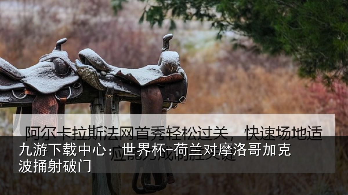 九游下载中心:世界杯-荷兰对摩洛哥加克波捅射破门
