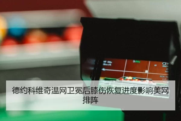 de-yue-ke-wei-qi-wen-wang-wei-mian-hou-xi-shang-hui-fu-jin-du-ying-xiang-mei-wang-pai-zhen-3-952.jpg
