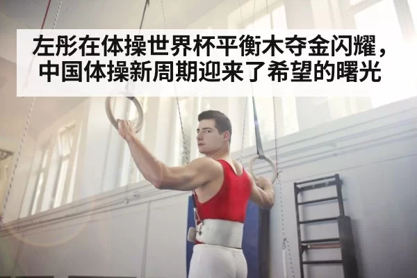 Chinese gymnast training