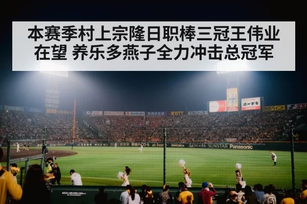 baseball stadium lights